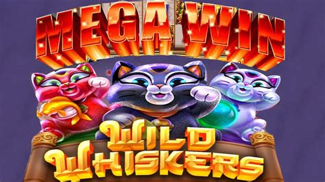 Whisker wins casino Guatemala